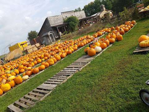 Hearty Harvest Hearty Harvest